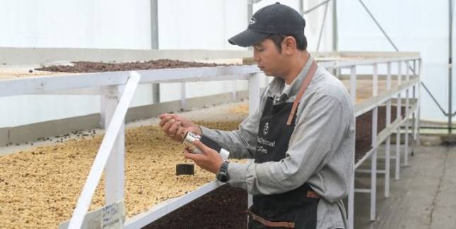 Dari Kamojang ke Pasar Dunia, Panas Bumi PGE Mengangkat Nilai Kopi Lokal