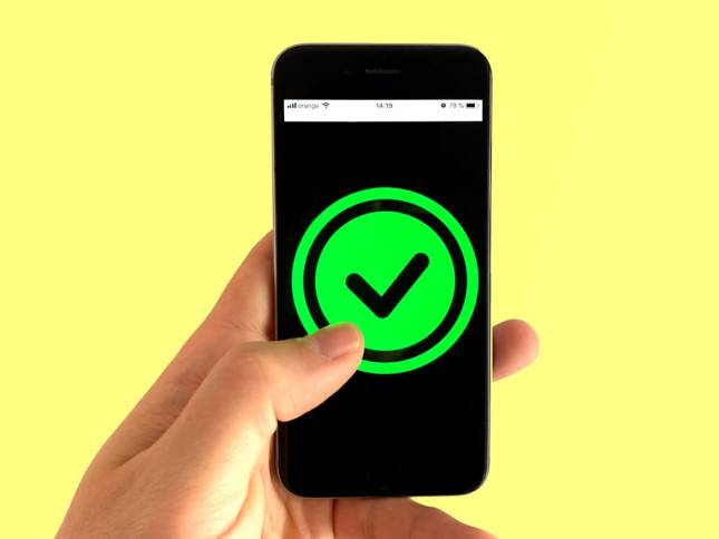 Arti Pick Me yang Viral di Medsos, Ini Penjelasan & Contohnya