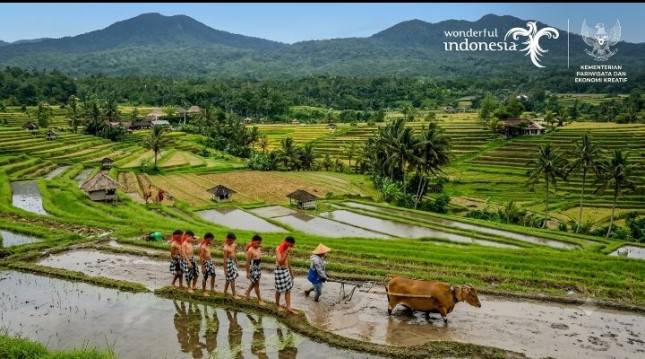 Catatan Ni Luh Puspa: Standardisasi, SDM, dan Promosi Global Jadi Kunci Kemajuan Desa Wisata