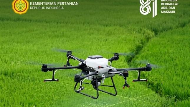 Bikin Budidaya Padi Lebih Efisien, Begini Aksi Drone Agra 30 di Tengah Sawah