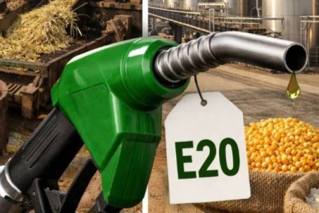 Apa Itu E10, E20 hingga E50? Arti, Perbedaan, dan Kendaraan yang Cocok