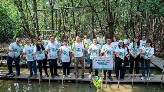 Perkuat Strategi Bisnis Berkelanjutan, ZTE Tanam 300 Bibit Mangrove di PIK