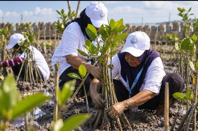 BRI Peduli Tanam 30.000 Mangrove di Demak untuk Cegah Abrasi Pantura