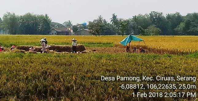 Sergap,  Untuk Melindungi dan Meningkatkan Kesejahteraan Petani