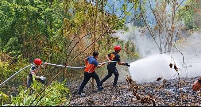 Perkembangan Penanganan Karhutla: 14.873 Hektare Lahan Padam Melalui Operasi Darat dan Udara