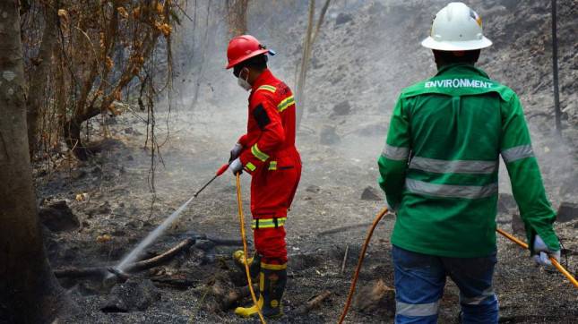 Cuaca Kering Picu 117 Titik Api di Halut, NHM Kerahkan Emergency Team Amankan Tambang Gosowong