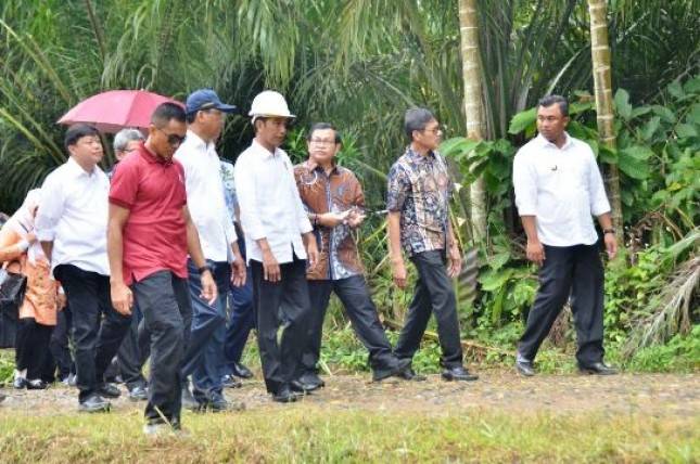 Presiden Jokowi Tinjau Sejumlah Proyek di Solok Sumbar