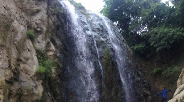 Asyiiik! Bojonegoro Kembangkan Wisata Alam di Hutan Pajeng