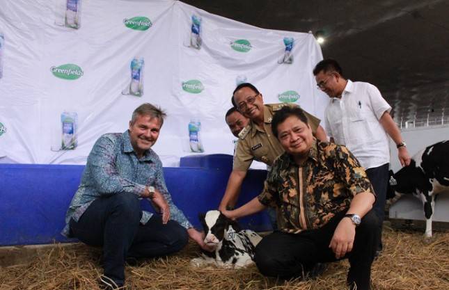 Menperin: Pengembangan Peternakan Sapi Perah Kurangi Ketergantungan Bahan Baku Susu Impor