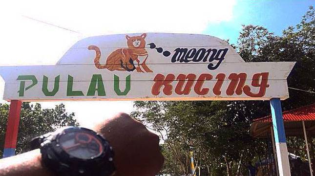 Asyiiik! Ada Pulau Kucing di Desa Fukweu, Maluku Utara