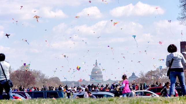 Rayakan Mekarnya Bunga Sakura, di Washington, D.C Gelar Festival Layang-Layang
