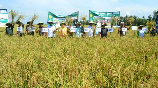Panen Berkurang Hingga 70 Persen, Cak Imin Tugaskan DPR dan ABI Edukasi Petani di Bekasi