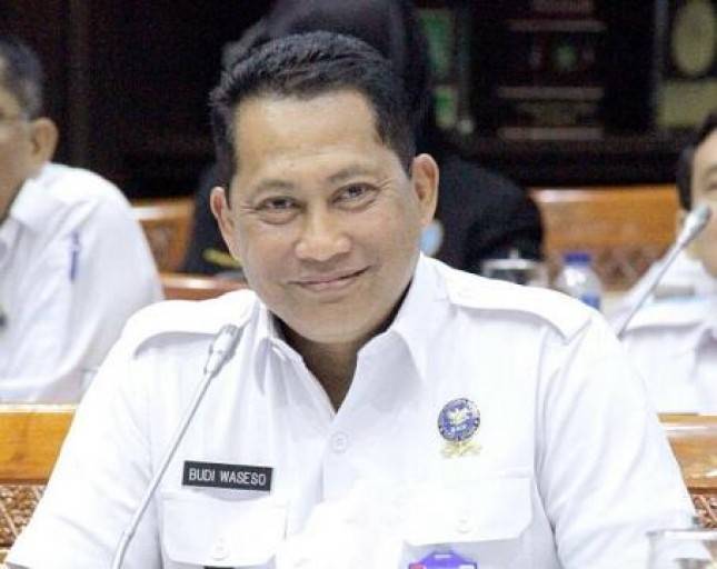 Buwas Bahas Penyerapan Jagung dengan Presiden Jokowi