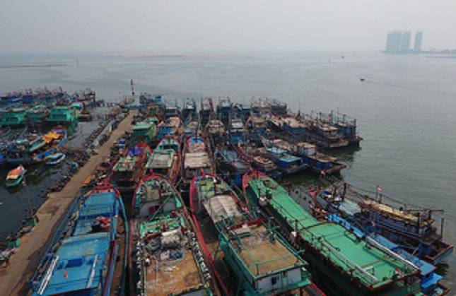 Periksa Kelayakan, Pelni Siap Ambil Alih Muara Angke