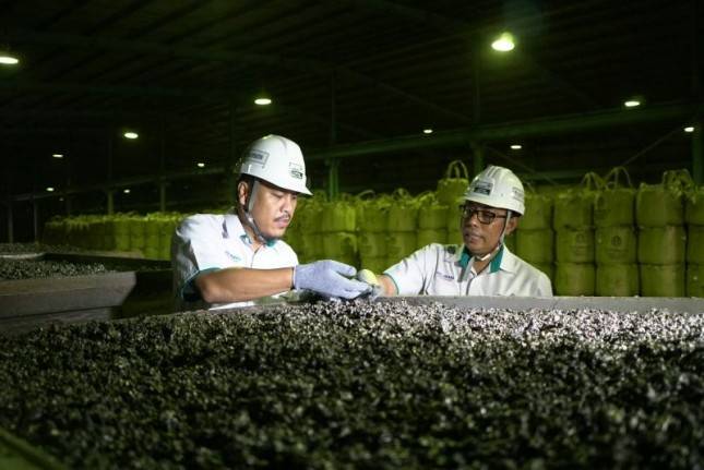 Dukung Hilirisasi Mineral, ANTAM Fokus Lanjutkan Proyek Strategis 2025