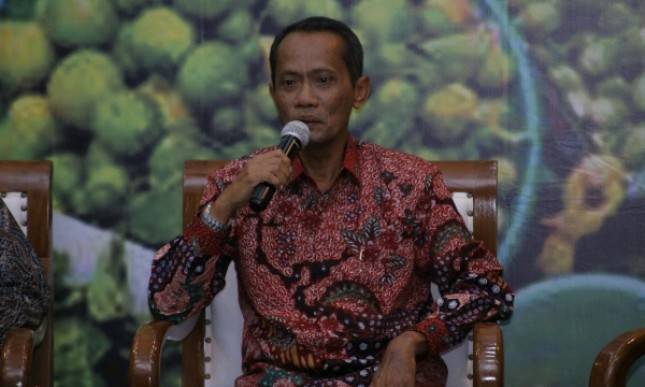 Kementan: Penguatan Dolar Pengaruhi Kenaikan Harga Daging Ayam