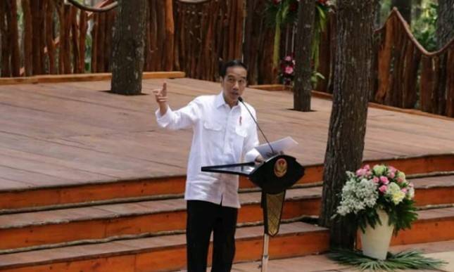 Presiden Jokowi Promosikan Hutan Pinus Mangunan Jadi Destinasi Wisata Unggulan di Yogyakarta