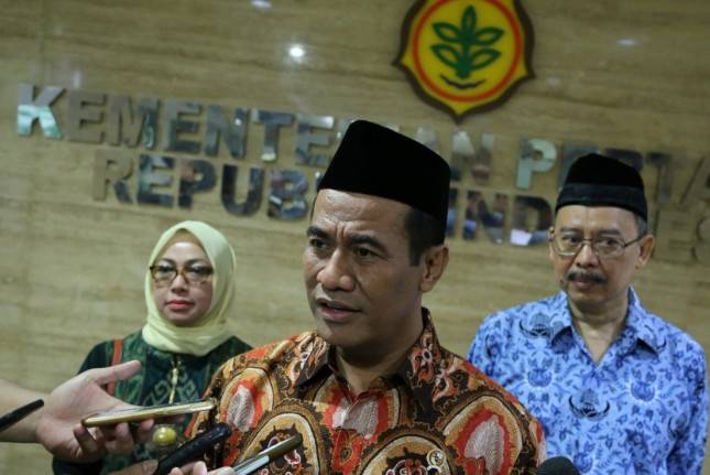 Indonesia Surplus Jagung dan Menyetop Impor 
