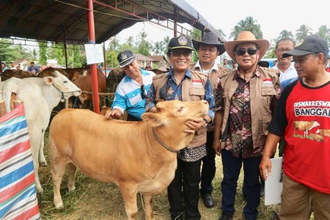 Peningkatan Kelahiran Pedet Bukti Keberhasilan UPSUS SIWAB