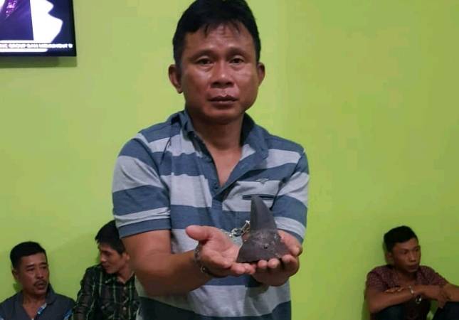 Komplotan Penjual Cula Badak Sumatera Berhasil Diringkus di Lampung