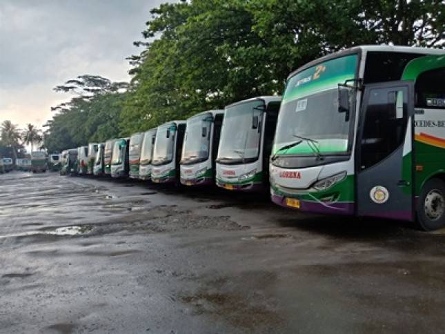 Lorena  Transport Lakukan Inovasi Model Bisnis