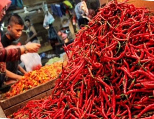Aduuh! Harga Cabai di Penjuru RI Makin 'Pedas', Asosiasi Bongkar Biang Keroknya