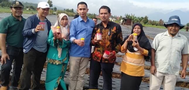 Program Kementan, Petani Raup Rejeki dari Bawang Merah, Cabai, Kentang dan Sayuran