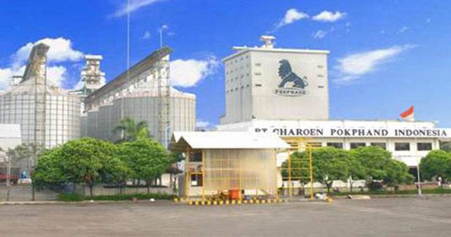 Charoen Pokphand Bagi Dividen Rp918,288 Miliar