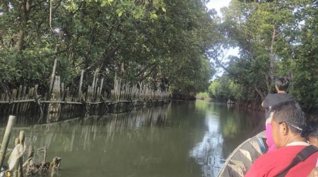 Serunya Wisata Sambil Melestarikan  Mangrove di Pesisir Bekasi
