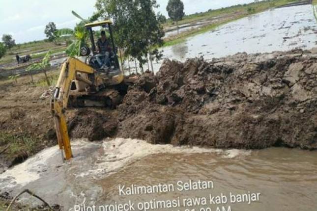 Perbaikan Infrastruktur Dongkrak Produksi Pangan Rawa