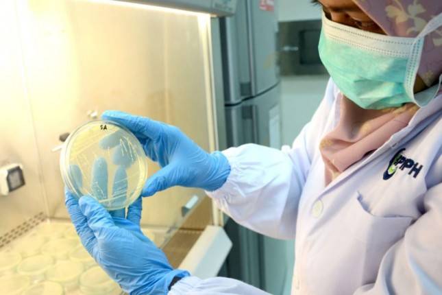 Kementan Gandeng FAO dan WHO Evaluasi Rencana Aksi Nasional Atasi Resistensi Antibiotik