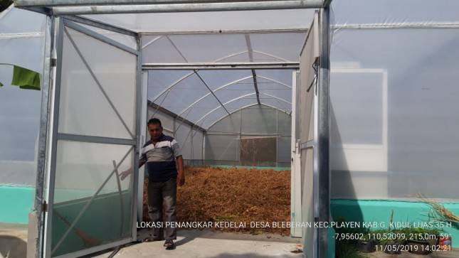 Tumpang Sari Tingkatkan Produksi Pajalele