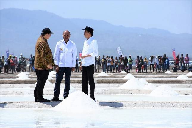 Tingkatkan Kualitas Garam Lokal, Menperin Pacu Investasi