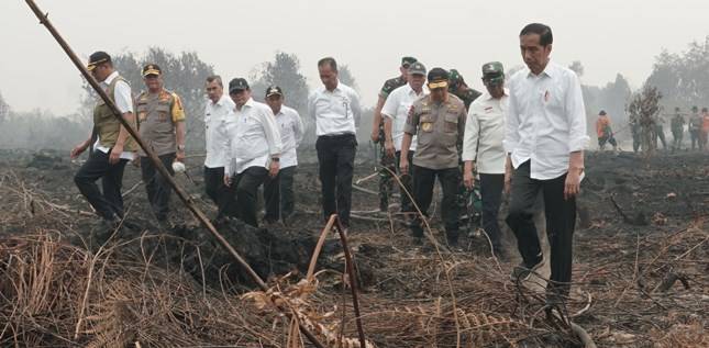 Presiden Jokowi: Karhutla  Bisa diantisipasi Kepada Desa, Camat, Bupati, Babinsa, Babinkamtibmas
