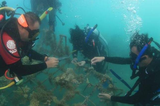 PT Sushi Tei Indonesia Menjalankan Kegiatan CSR: From Sea To Sea
