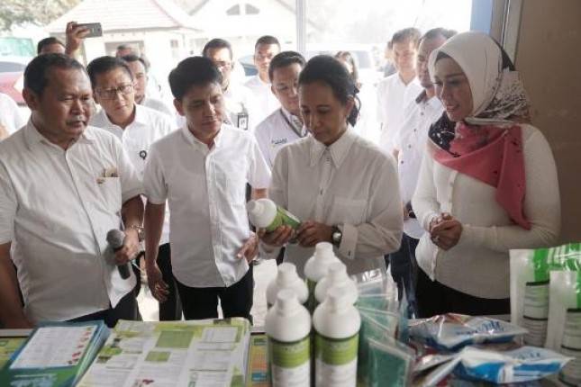Lewat Program Wirausaha Tani, BUMN Bantu Tingkatkan Kesejahteraan Petani 