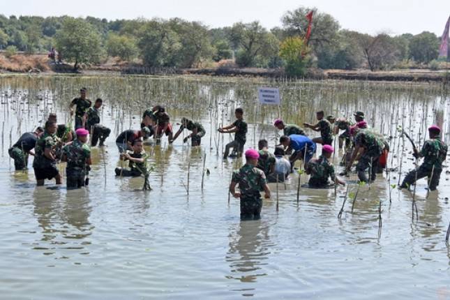 Danpasmar 2 Pimpin Penanaman Mangrove di Surabaya