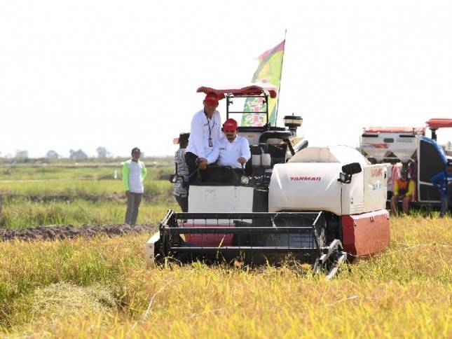 Teknologi Sulap Lahan Rawa di Kalsel Jadi Sumber Pangan