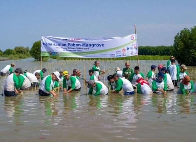 Memperingati Hari Menanam Pohon Indonesia,  Bekasi Fajar Industrial Estate Laksanakan Penanaman 12.000 Pohon Mangrove