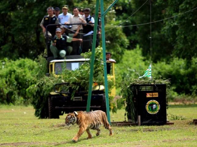 Tomy Winata Sayangkan Pernyataan Plt. Bupati Muara Enim Soal Harimau