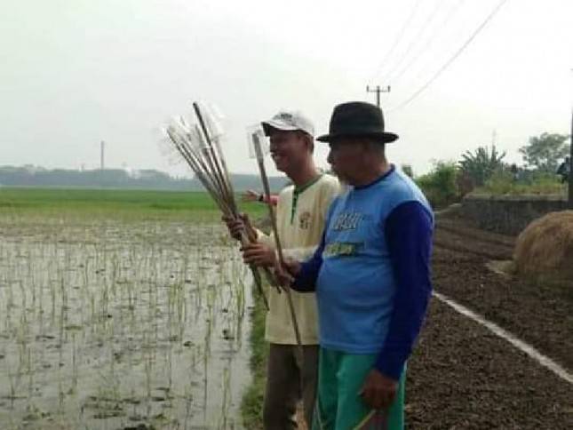 Kementan Antisipasi Dini Serangan Hama PBP Dengan Agens Hayati
