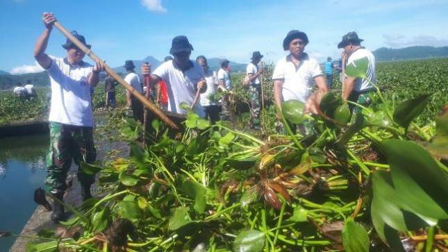 Peduli Lingkungan Prajurit Marinir Bersihkan Eceng Gondok Danau Tondano