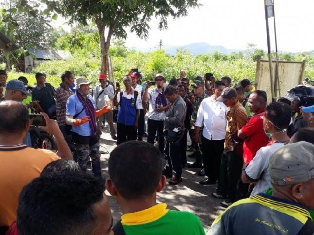 Tim Kementan Kendalikan Hama Ulat Grayak Frugiperda di NTT