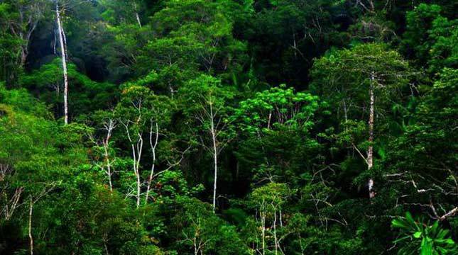 Kementerian ATR/BPN Pastikan HGU Bukan Kawasan Hutan