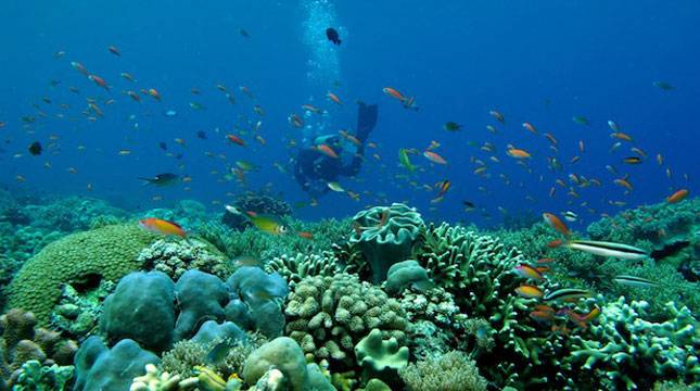 Siapkan 50 Event, Kepulauan Selayar Tetapkan Pesona Takabonerate 2018 Jadi Event Utama