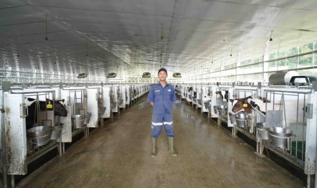 PT Greenfields Indonesia, Industri Pengolahan Susu Asal Malang yang Mendunia 