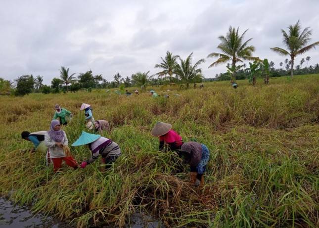Mempawah Kalbar Mampu Tingkatkan Produksi