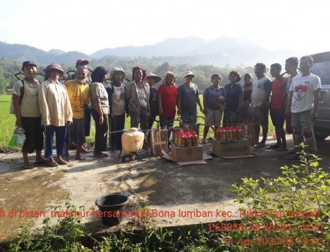 Tapanuli Tengah Mampu Kendalikan Kepinding Tanah