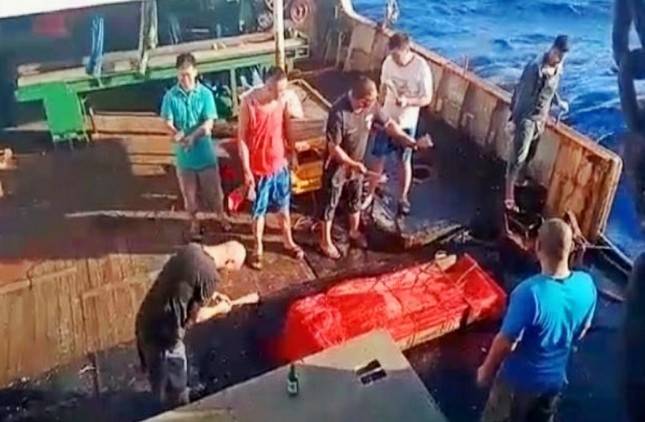 Ironis, Para TKA China di Dalam Negeri di Perlakukan Baik, Wakil Rakyat: Mengapa WNI Kita Diperlakukan Keji dan Tidak Manusiawi Disana