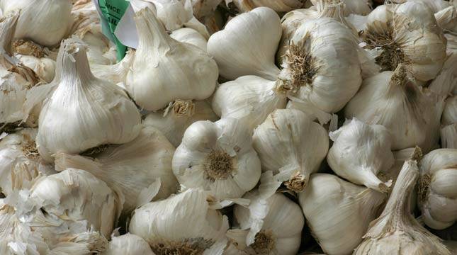  Ironis, Indonesia Mengimpor Lebih Dari 300 Ribu Ton Bawang Putih Pertahun